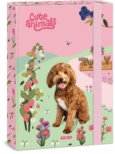 Doggie, kutyás füzetbox A/4, Cute Animals