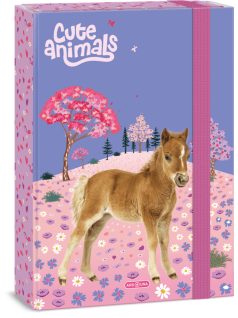 Lovas füzetbox A/4, Ars Una, Horse