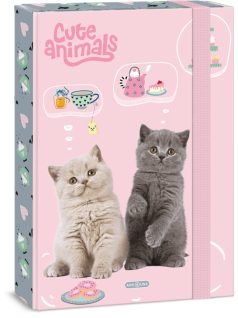 Tea Party, cicás füzetbox A/4, Ars Una