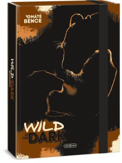 Wild in the Dark füzetbox A/4, Ars Una, oroszlánok