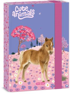 Lovas füzetbox A/5, Ars Una, Horse