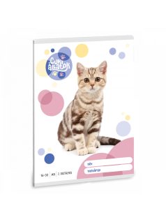   Cuki állatok tűzött füzet A/5, 32 lap vonalas 2.osztály (16-32), amerikai rövidszőrű macska