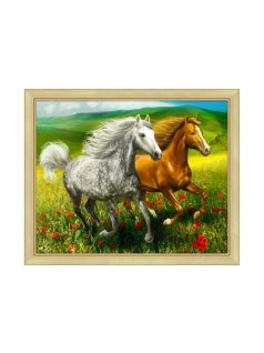 Gyémántfestés szett, lovak a réten, 50x40cm