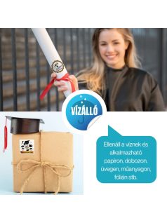 Ajándékkísérő matrica, ballagásra, 11 db/ív