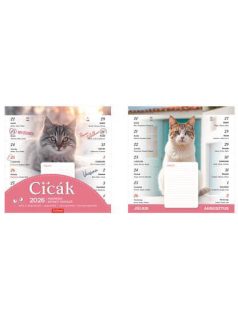   Toptimer mágneses, kétheti tervezőnaptár, 22x22cm, 2026, cicák