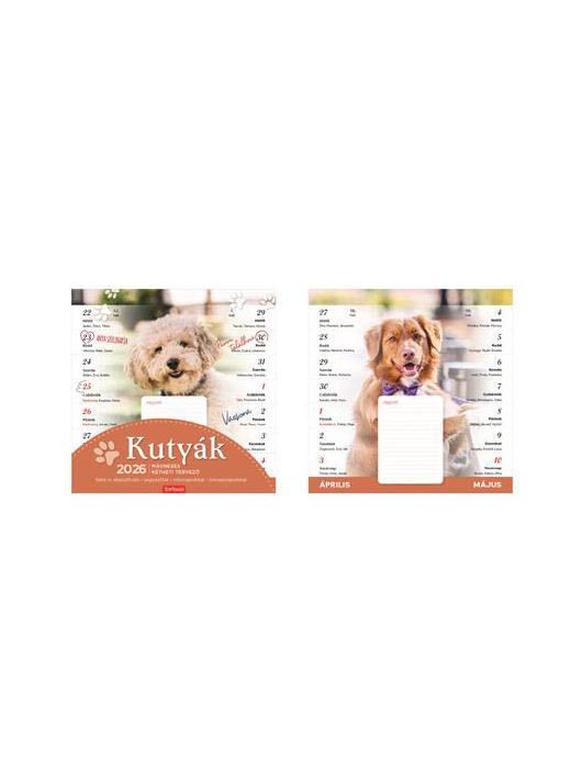 Toptimer mágneses, kétheti tervezőnaptár, 22x22cm, 2026, kutyák