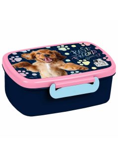 Cleo and Frank uzsonnás doboz, CF44, kutyás, spániel