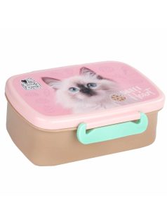 Cleo and Frank uzsonnás doboz, CF45, cicás, fehér cica