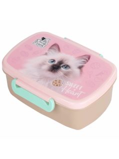 Cleo and Frank uzsonnás doboz, CF45, cicás, fehér cica