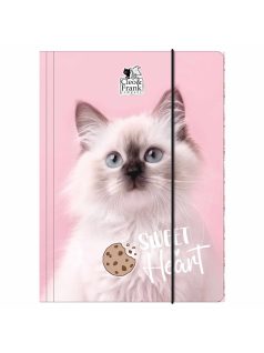 Cleo and Frank gumis mappa A/4, CF45, cicás, fehér cica