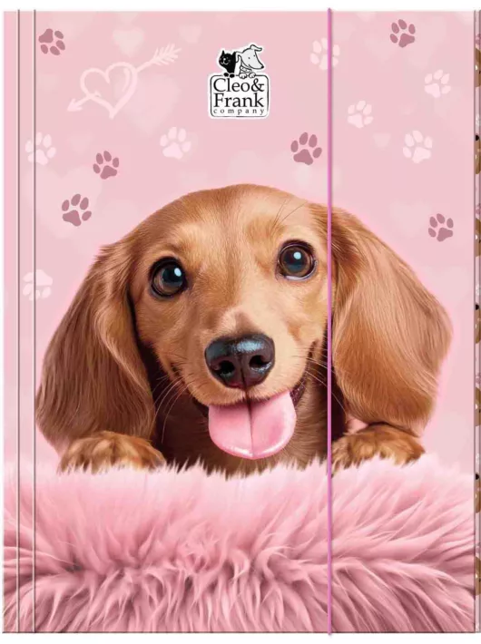 Cleo and Frank gumis mappa A/4, CF46, kutyás