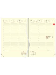   Dayliner MyPastel határidőnapló, heti tervező, A/5, kék, 2026