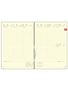   Dayliner MyPastel határidőnapló, heti tervező, A/5, púder, 2026