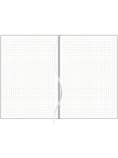   Dayliner Colors Bullet Journal, pontrácsos napló, notesz A/5, Palm