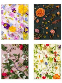 Herlitz gumis mappa A/5, Flower, többféle