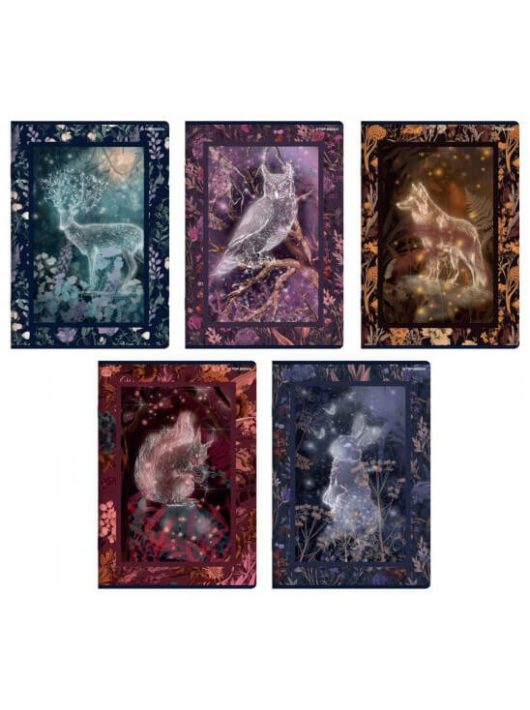 Herlitz tűzött füzet A/5, 60 lap kockás, Fairy Tail Story, többféle
