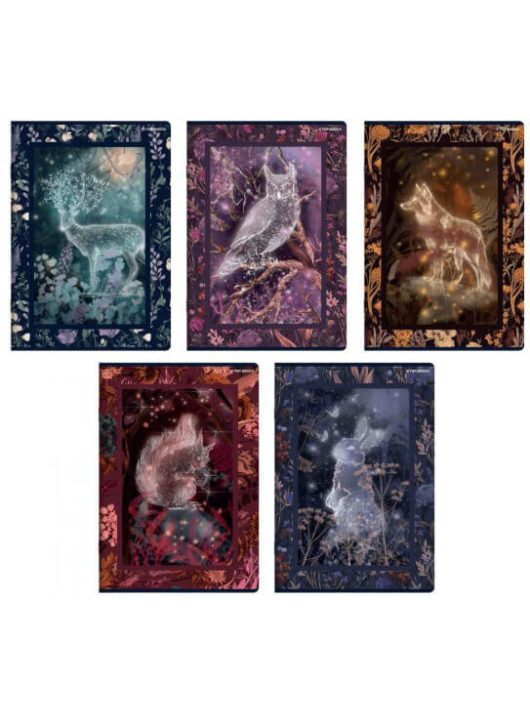 Herlitz tűzött füzet A/5, 60 lap vonalas, Fairy Tail Story, többféle