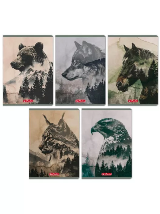 Herlitz tűzött füzet A/5, 32 lap vonalas, Into the wild, többféle