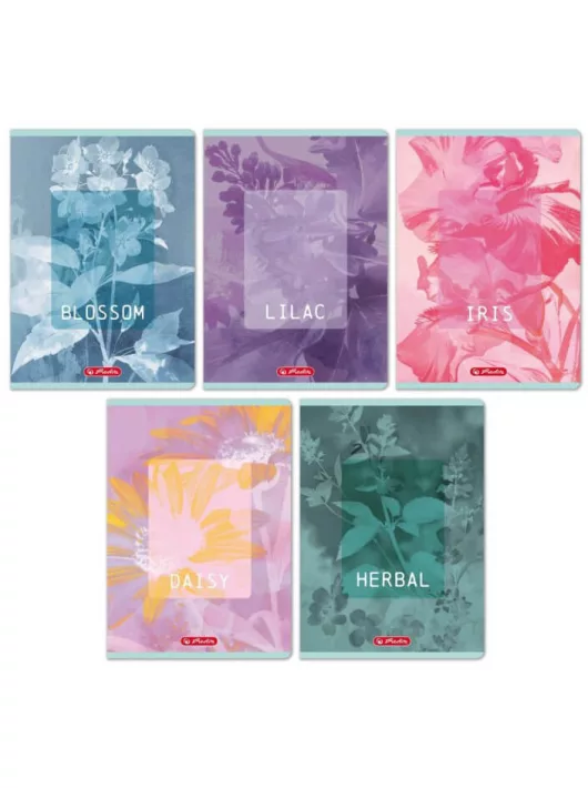 Herlitz tűzött füzet A/5, 32 lap kockás, Blossom, többféle