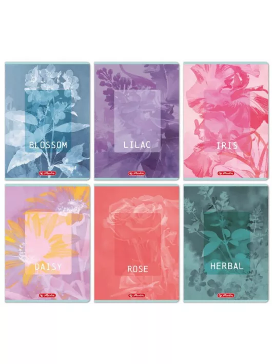 Herlitz tűzött füzet A/4, 32 lap vonalas, Blossom, többféle