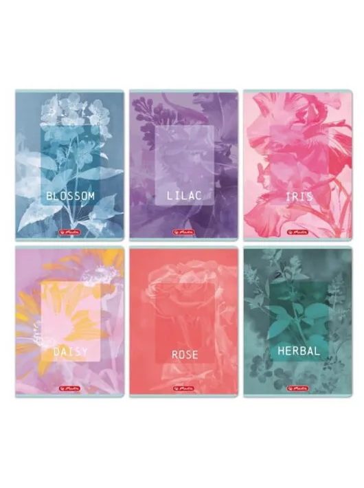 Herlitz tűzött füzet A/4, 32 lap kockás, Blossom, többféle