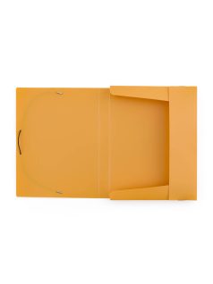 Műanyag füzetbox A/4, VERDE, mustársárga