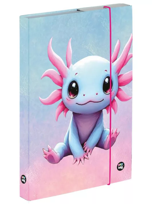 Axolotl füzetbox A/4, OXY 2026 