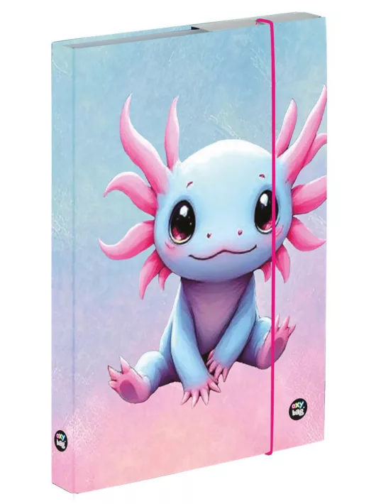 Axolotl füzetbox A/5, OXY 2026