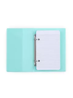   Műanyag gyűrűskönyv A/6, 2 gyűrűs, vonalas jegyzetlapokkal, 100 lapos, PASTELINI, pasztell zöld