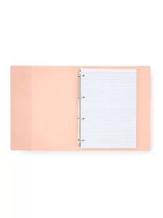   Műanyag gyűrűskönyv A/5, 4 gyűrűs, vonalas jegyzetlapokkal, 100 lapos, PASTELINI, pasztell barack