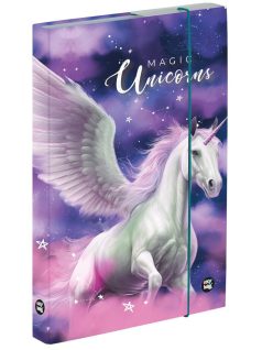 Pegazus füzetbox A/5, lila-rózsaszín