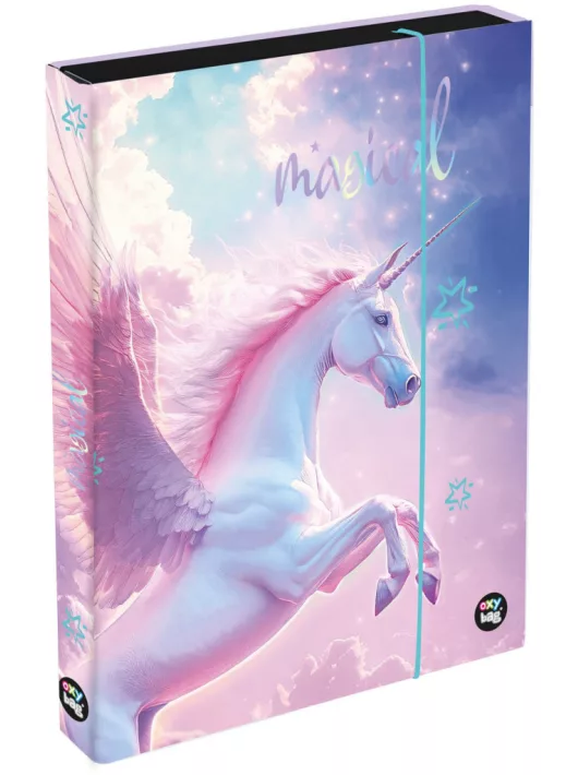 Pegazus füzetbox A/4, jumbo, OXY 2026 Pegas