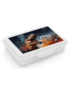 Dinoszaurusz uzsonnás doboz kivehető rekesszel, OXY