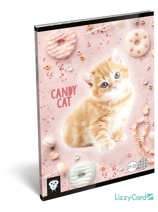 Lizzy Card kis bagoly tűzött füzet A/5, 32 lap kockás, Candy Cat, cica