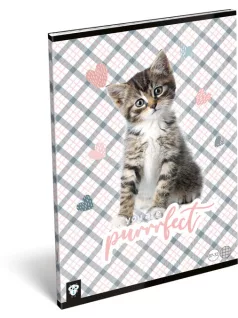   Lizzy Card cicás tűzött füzet A/4, 32 lap kockás, Purrrfect