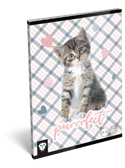 Lizzy Card cicás tűzött füzet A/5, 32 lap sima, Purrrfect