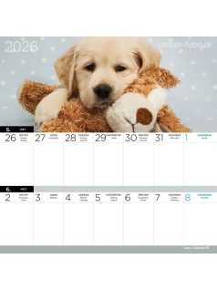   Lizzy Card mágneses, kétheti tervezőnaptár, 22x22cm, 2026, Kutyák