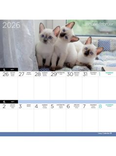   Lizzy Card mágneses, kétheti tervezőnaptár, 22x22cm, 2026, Cicák