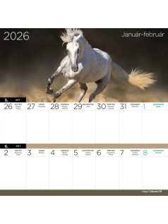   Lizzy Card mágneses, kétheti tervezőnaptár, 22x22cm, 2026, Lovak