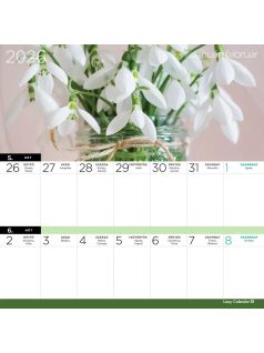   Lizzy Card mágneses, kétheti tervezőnaptár, 22x22cm, 2026, Virágok