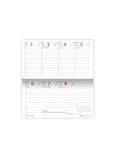   Dolce Blocco Secret Pocket Planner zsebnaptár, heti, 9,4x17cm, 2026, Sweet Birdy