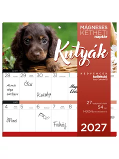   Lizzy Calendar mágneses, kétheti tervezőnaptár, 22x22cm, 2027, Kutyák 