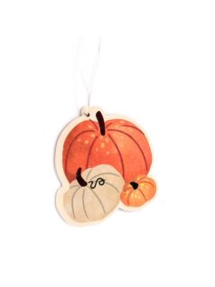   Autóillatosító, tök, őszi szüret (őszi fűszerek illat)