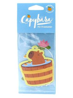 Autóillatosító, kapibara (mandarin illat)