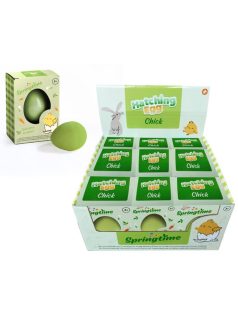 Tojásból kikelő csibe, Springtime