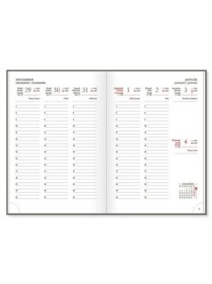 Period Basic határidőnapló, A/5, napi, 2026, Blue