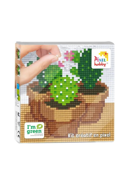 Pixel szett 4 db kis alaplappal, kaktusz