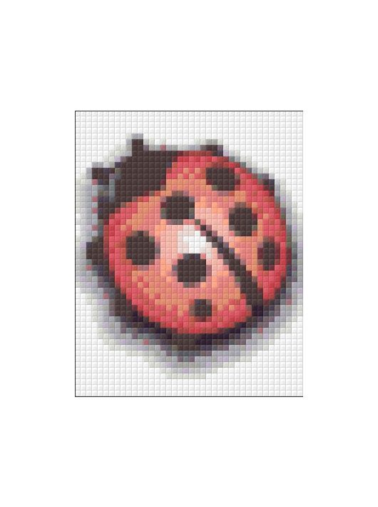 Pixel szett 1 normál alaplappal, színekkel, katica