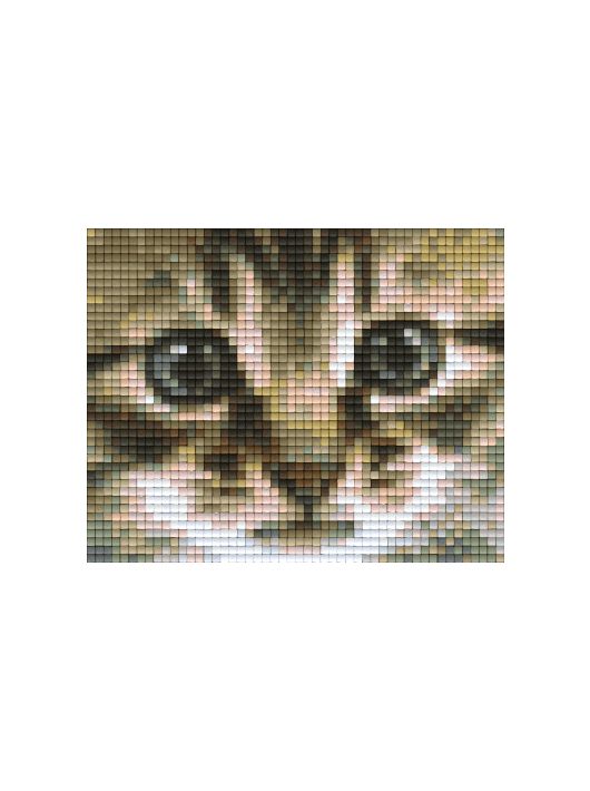 Pixel szett 1 normál alaplappal, színekkel, cica
