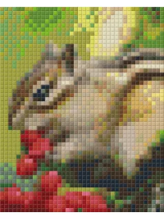 Pixel szett 1 normál alaplappal, színekkel, csíkos mókus